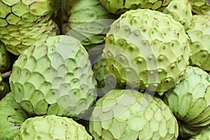 Plenty of fresh green anona, a tropical fruit, on the farmers market photo