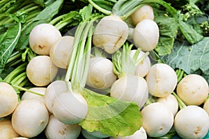 Plenty of fresh white radish with green strunk on the farmers market