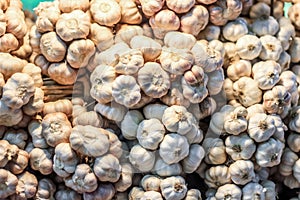 Plenty of garlic at the market for sell