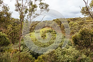 Plenty Gorge Parklands in Australia