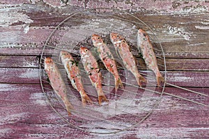 Plenty of red mullet fish ready to grill at barbecueon a pink wooden booard
