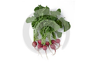 Plenty of Red Radishes with Leaves