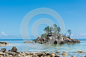 Plenty of rocks and trees at Seychelles beach