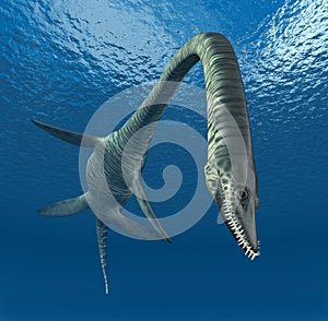 Plesiosaur Elasmosaurus photo