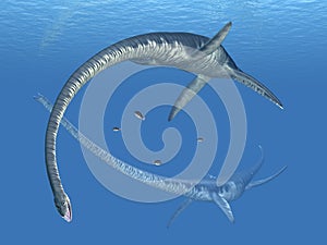 Plesiosaur Elasmosaurus photo