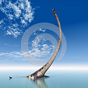 Plesiosaur Elasmosaurus photo