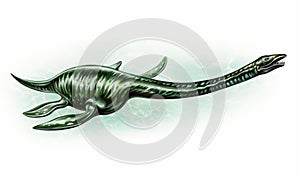 Plesiosaur Plesiosauria, realistic drawing