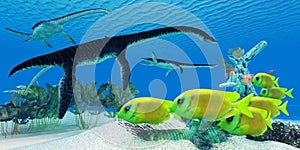 Plesiosaurus Coral reef