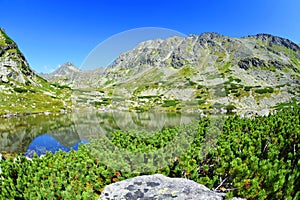 Pleso nad Skokom v Mlynické dolině, Tatry, Slovensko.