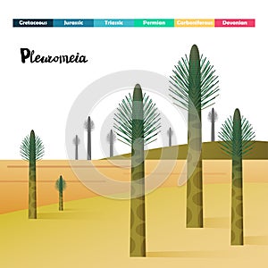 Pleuromeia giant plants Prehistoric