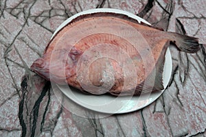 Pleuronectes platessa Plaice-fluke, Fluke Plaice Hen fish Fresh caught lying on a light background . photo