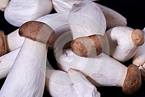 Pleurotus eryngii is an edible mushroom native to Mediterranean regions of Europe but also grown in many parts of Asia