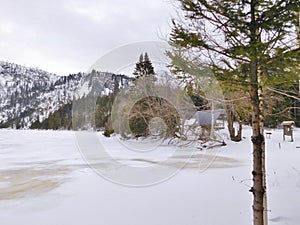 Plešné lake in the Šumava protected area and national park in czech republic winter time and frozen lake surface