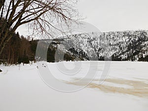 Plešné lake in the Šumava protected area and national park in czech republic winter time and frozen lake surface