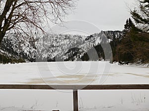 Plešné lake in the Šumava protected area and national park in czech republic winter time and frozen lake surface