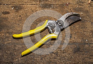 Pliers isolated