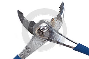 Plier close up