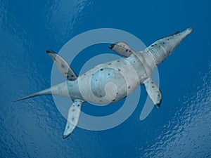 Pliosaur Kronosaurus