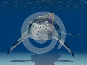 Pliosaur Kronosaurus