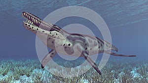 Pliosaur Kronosaurus