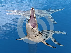 Pliosaur Kronosaurus
