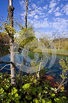 Plitivce lakes National Park, Croatia
