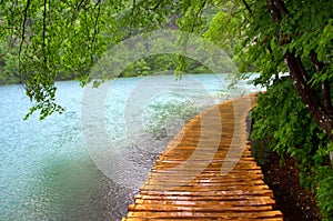 Plitvice lakes boardwalk