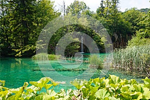 Plitvice Lakes National Park-Croatia. At the Afternoon in Summer