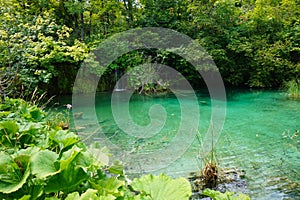 Plitvice Lakes National Park-Croatia. A Beautifull Pond on a sunny Summer afternoon