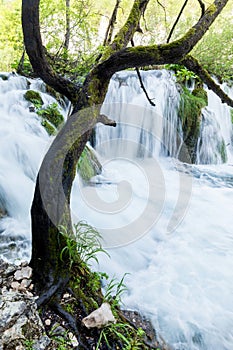 Plitvice Lakes National Park, Croatia. Small waterfalls