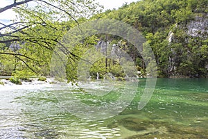 Nature of Plitvice Lakes National Park in summer photo