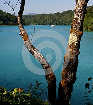 Plitvice National Park / lake detail