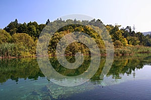 Plitvice National Park / lake reflection