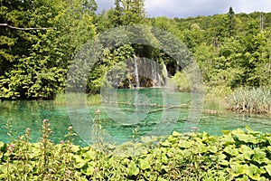 Plitvicka lakes