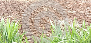 a plot of land that has been tilled with a rough texture and bright brown color photo