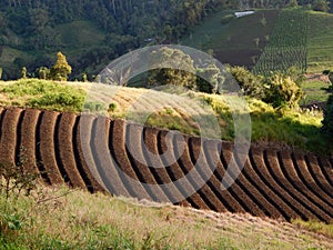 Plots for crops