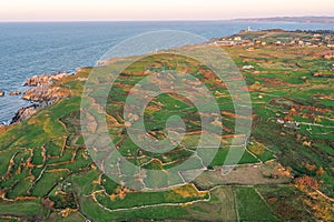 plots of land are marked by stone fences on ocean shore