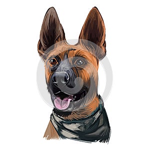 Plott Hound dog portrait isolated on white. Digital art illustration of hand drawn for web, t-shirt print and puppy food cover