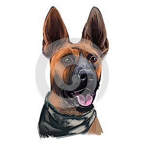 Plott Hound dog portrait isolated on white. Digital art illustration of hand drawn for web, t-shirt print and puppy food cover