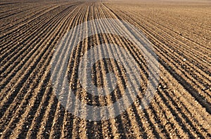 Plough agriculture field photo