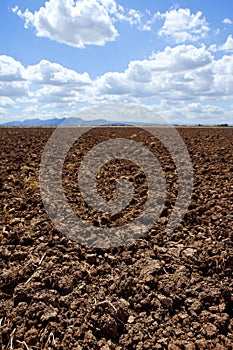 Plough plowed brown clay field blue sky horizon photo