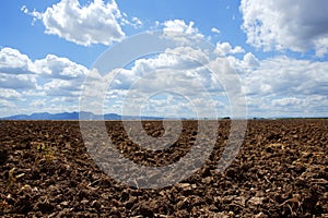 Plough plowed brown clay field blue sky horizon photo