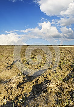 Plough plowed brown clay soil field