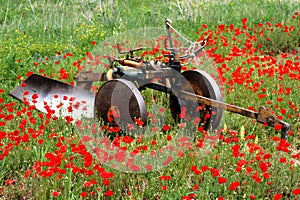 Plough and poppies photo
