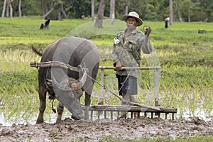 Plough with water buffalo