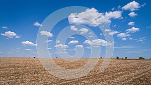 Ploughed cultivated ground, field and cloudy blue sky