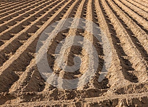 Ploughed Farmland Earth Furrows