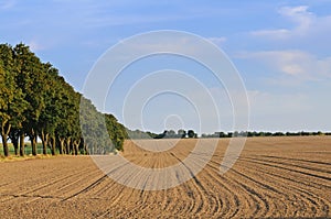 Ploughed field