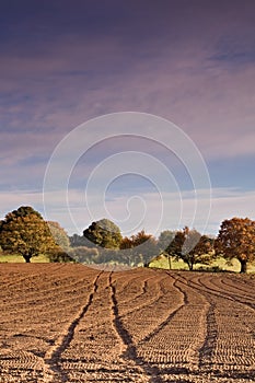 Ploughed Field