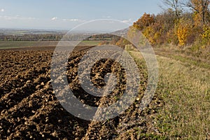 Ploughed field